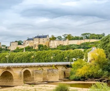 Loire Valley: Guided Chinon & Bourgueil Vineyards Tour from Tours + Wine Tasting